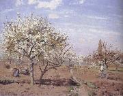 Camille Pissarro, Flowering frukttradgard Louveciennes